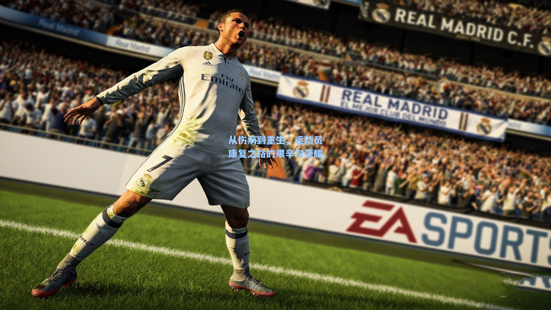 从伤病到重生，运动员康复之路的艰辛与荣耀